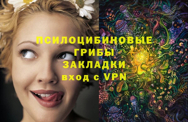 амфетамин Заводоуковск