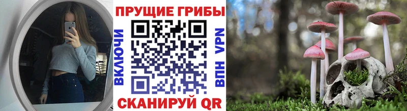 Галлюциногенные грибы мухоморы  Купить закладки  Полесск 
